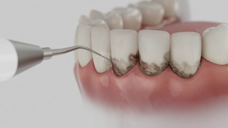 Reliable Dental contractor in Rutgers University-Livingston Campus, NJ by Dentist Open Now